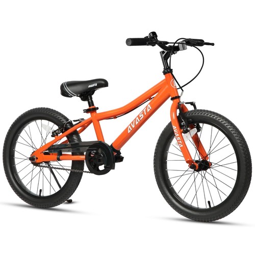 Avasta inch kids bike - 20,