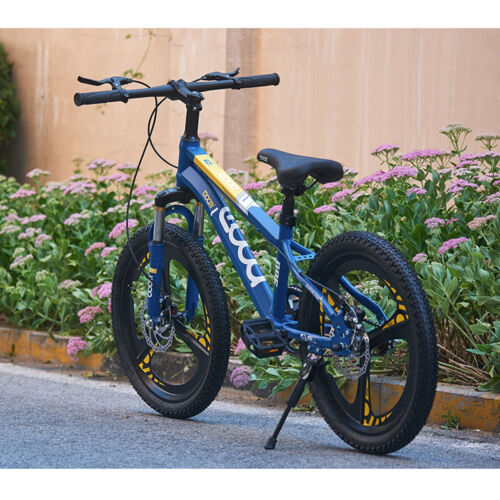 Brand new inch bike - brand,